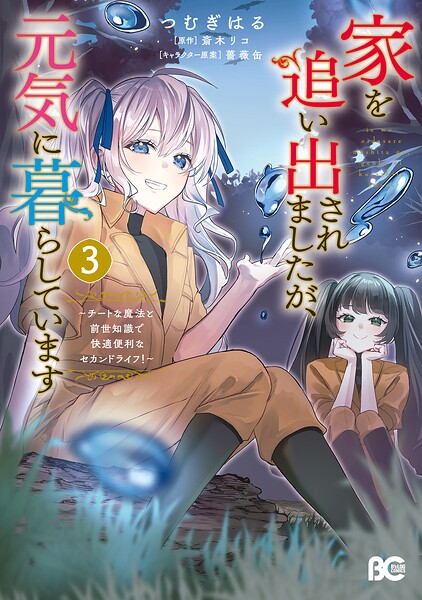 家を追い出されましたが、元気に暮らしています 〜チートな魔法と前世知識で快適便利なセカンドライフ！〜 3